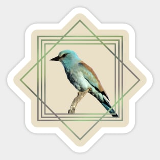 European Roller - Bird in Africa - Ornitholgy Sticker